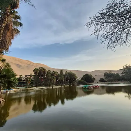 Oasis de Huacachina