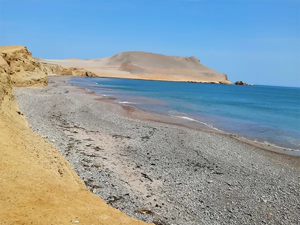 Reserva de Paracas