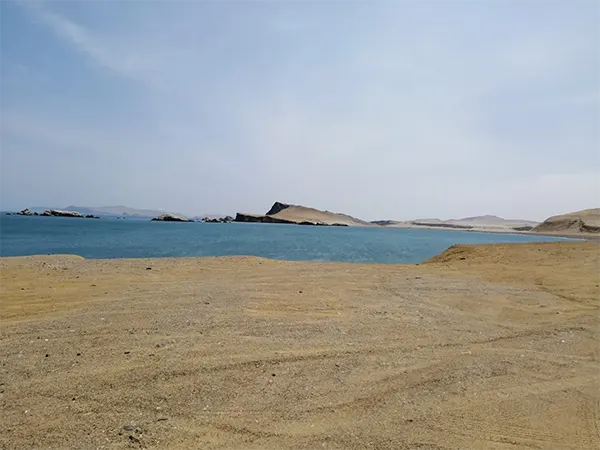Reserva de Paracas