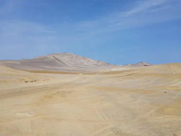Reserva de Paracas
