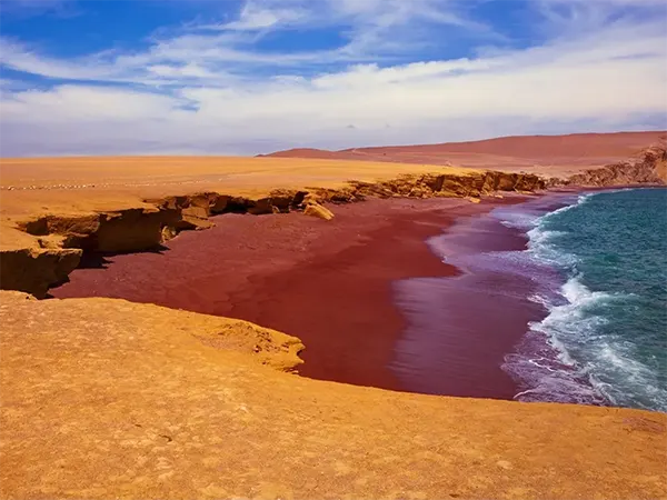 Reserva de Paracas